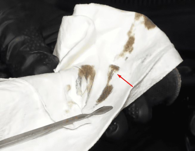 Brown fluid color that is bad