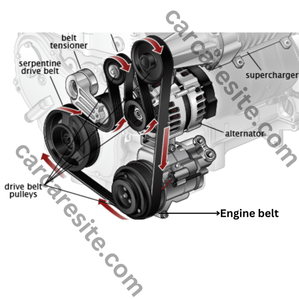Identify engine belt