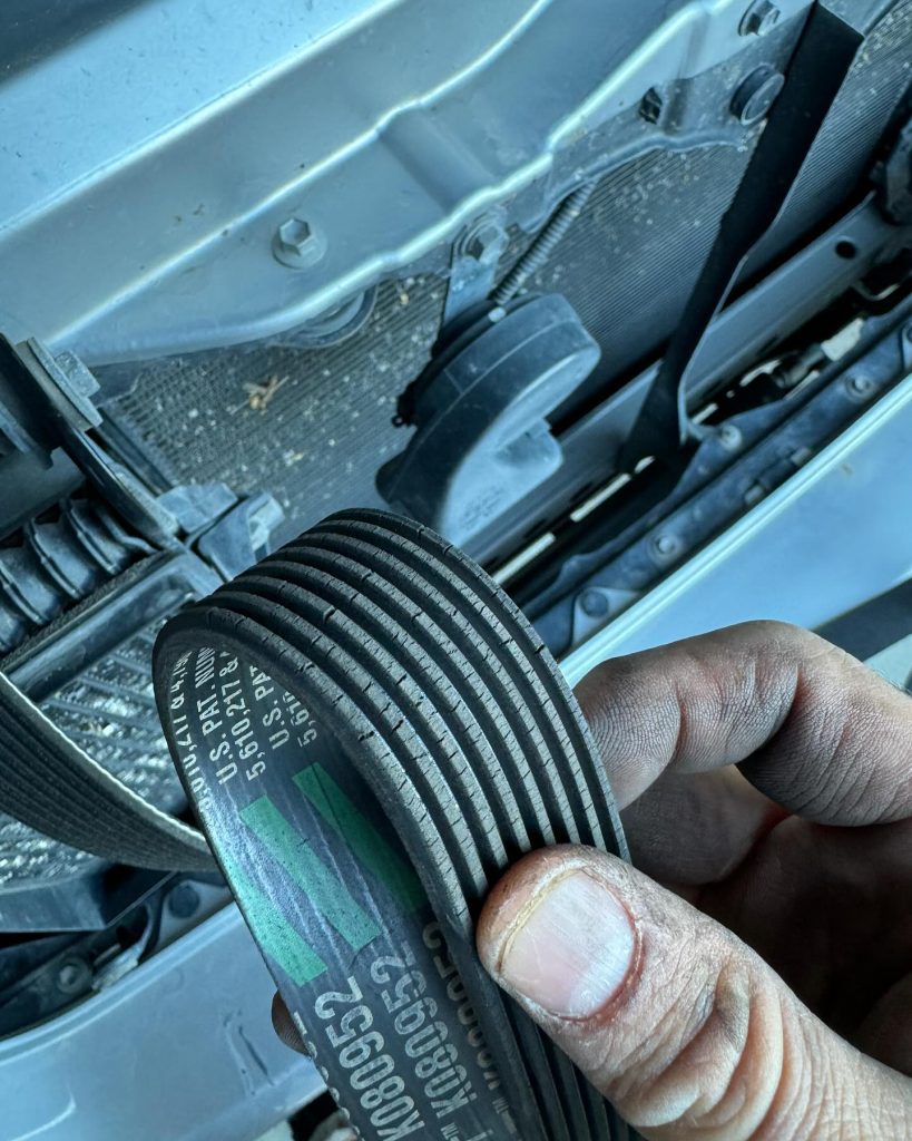 Serpentine Belt